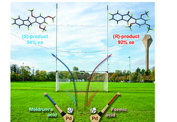 Hurley visual represents discovery of enantiodivergent decarboxylative asymmetric protonation