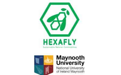 SSPC team at Maynooth University secure licence agreement with Hexafly Biotech