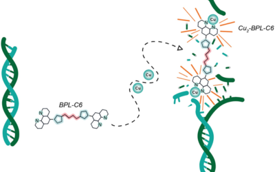 Scientists at DCU Develop Novel Copper-Based DNA-Cleaving Agent Using Click Chemistry